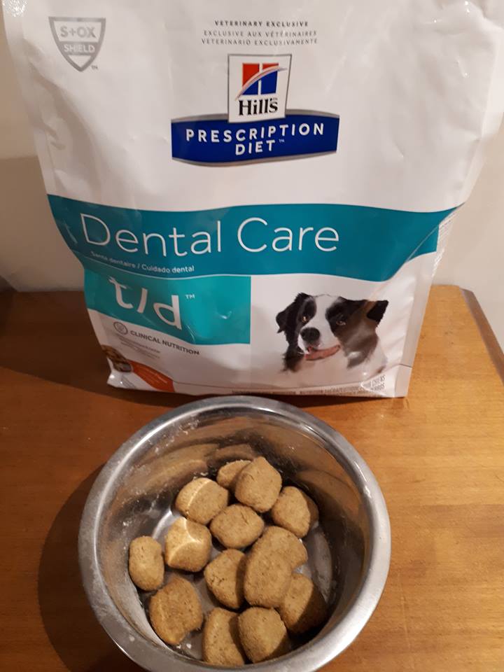 hills dental care cat food